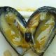 Mossel met Mytilicola